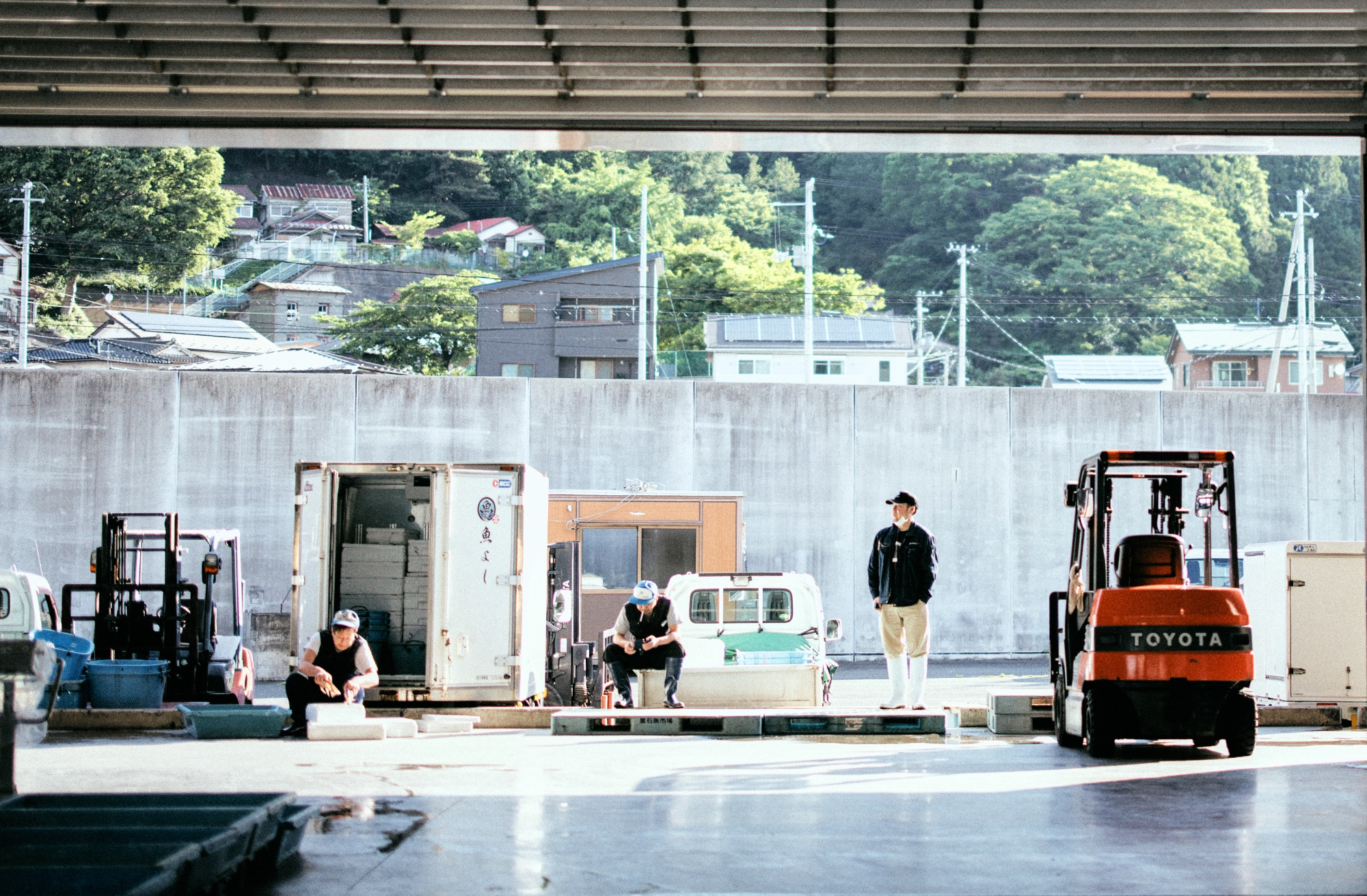 シシャモの禁漁