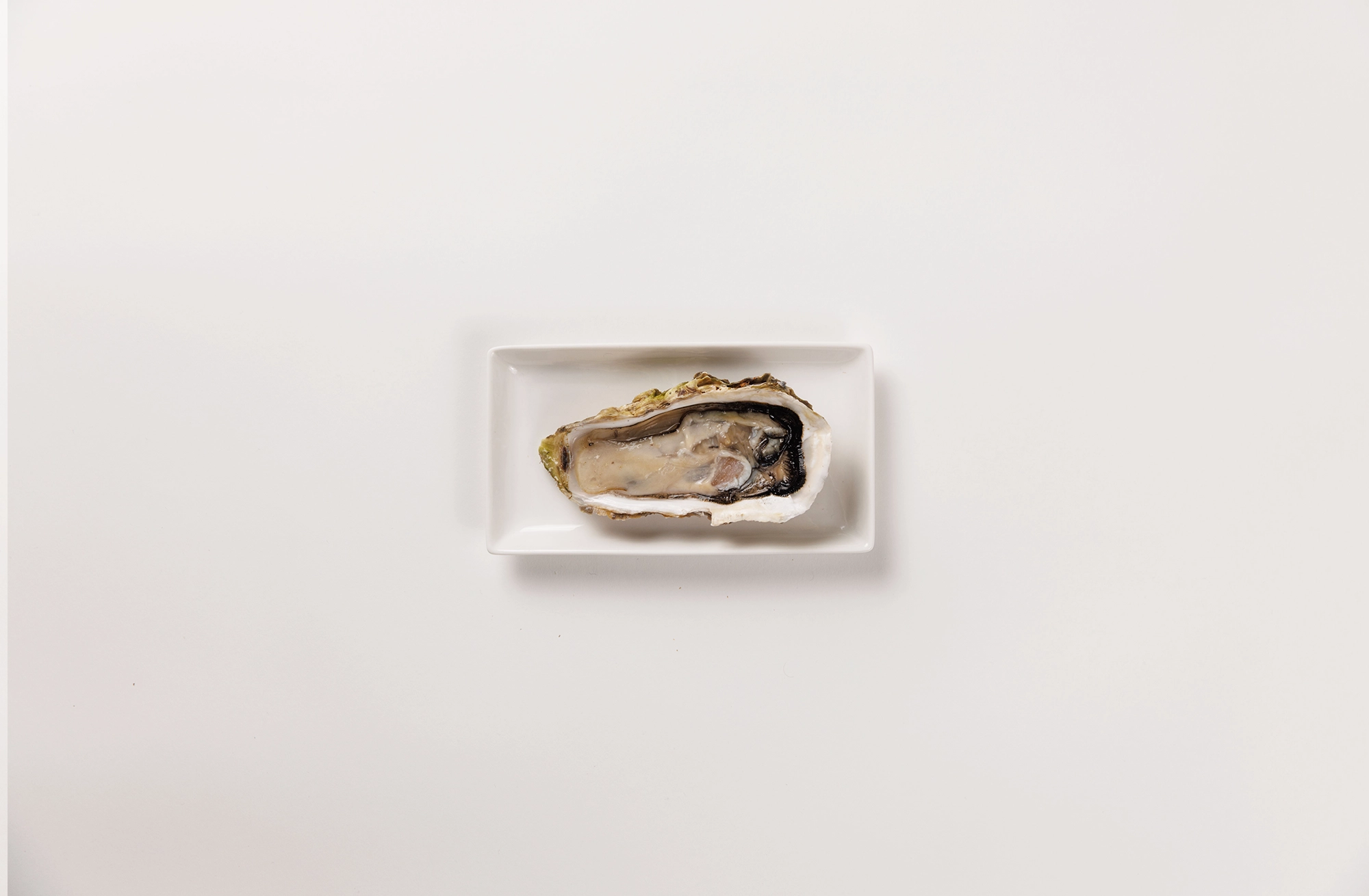 三陸産真牡蠣「牡蠣王」／冷凍